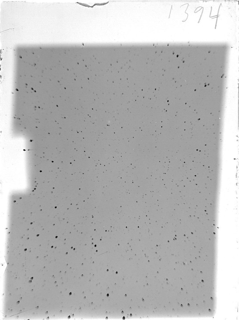 Scan ST01394