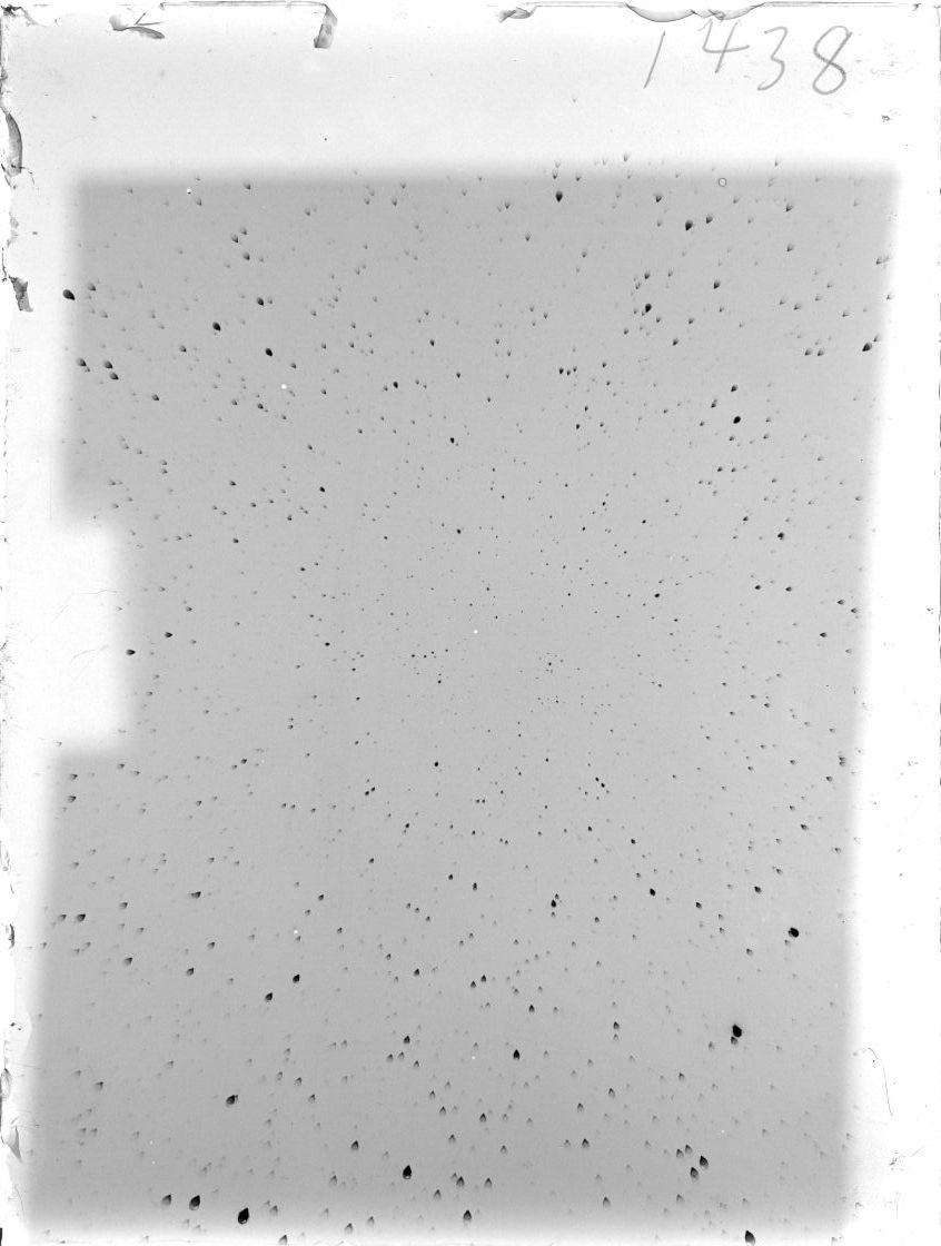 Scan ST01438