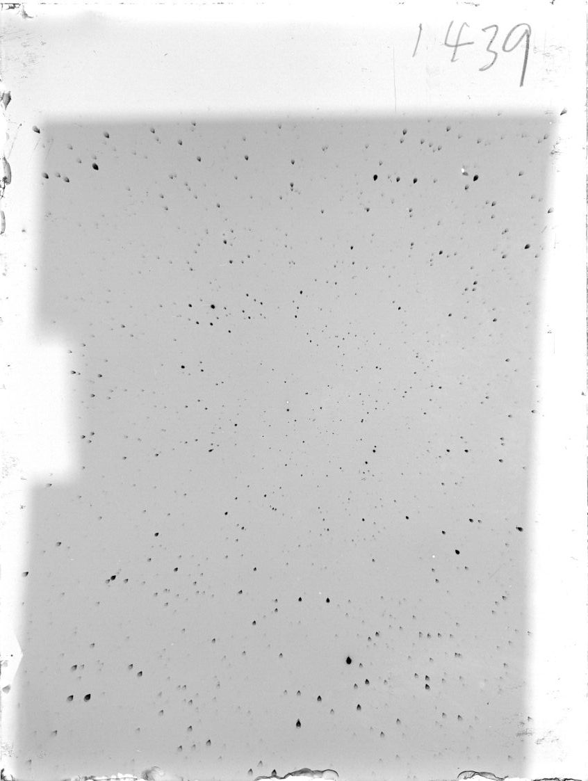 Scan ST01439