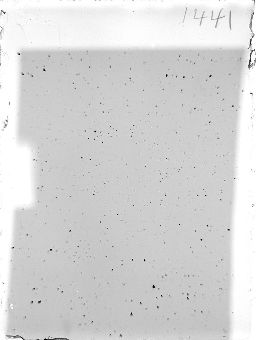 Scan ST01441