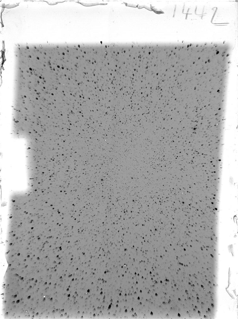 Scan ST01442