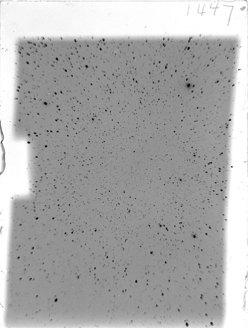 Scan ST01447