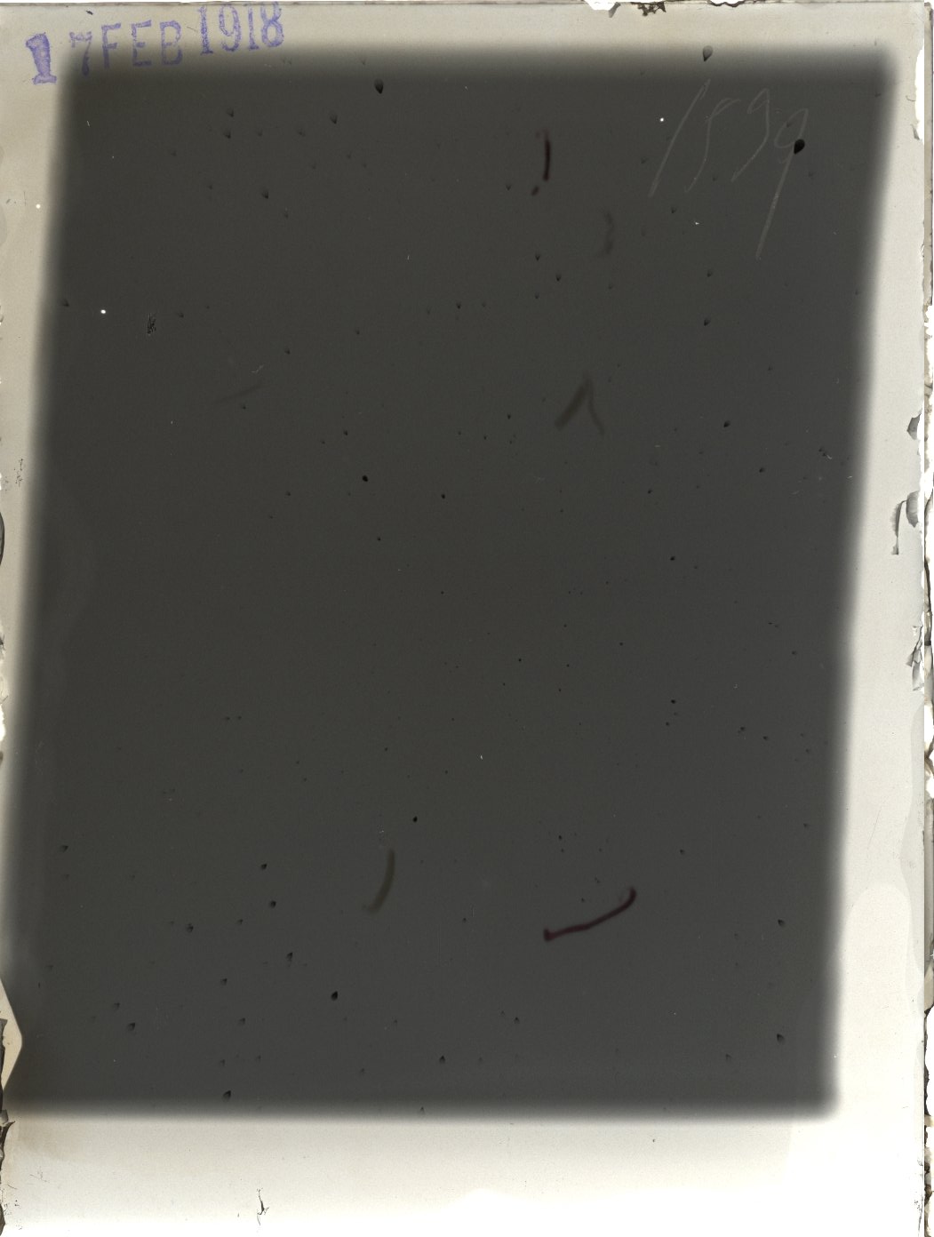 Scan ST01539