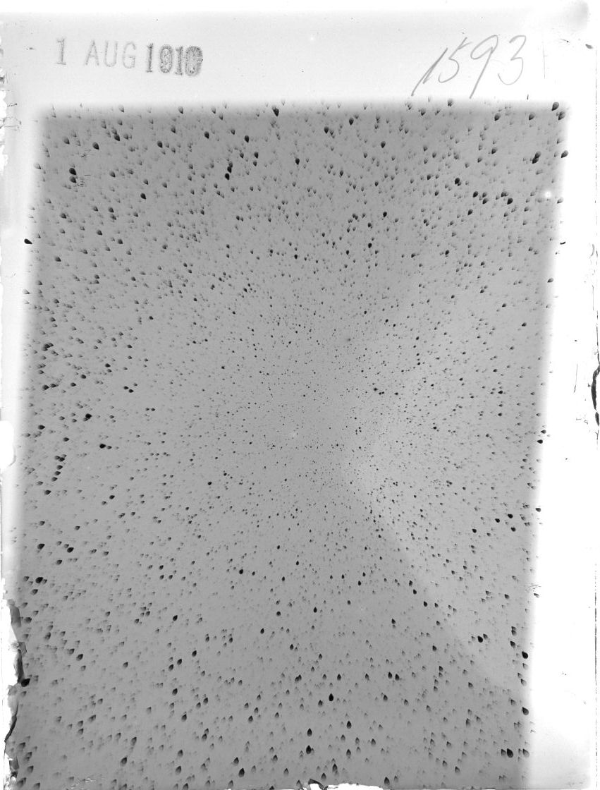 Scan ST01593
