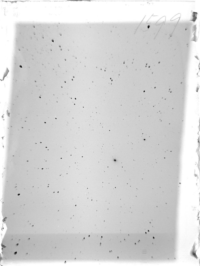 Scan ST01599
