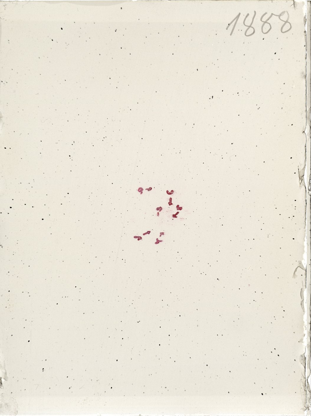 Scan ST01888