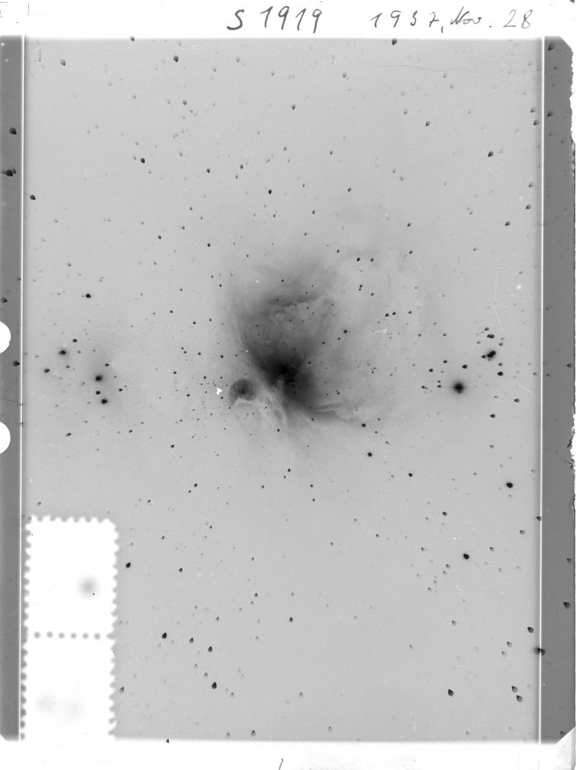 Scan ST01919
