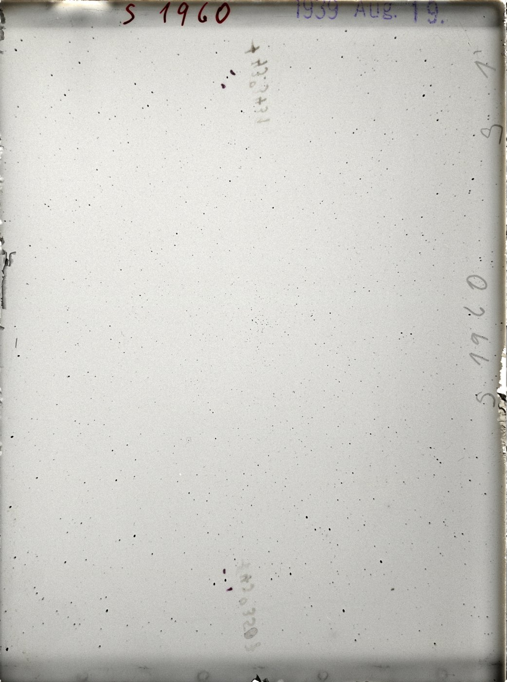 Scan ST01960