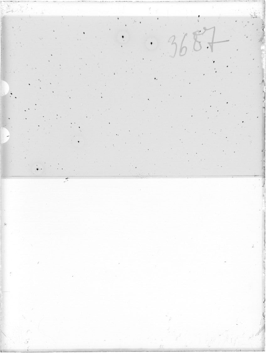 Scan ST03687