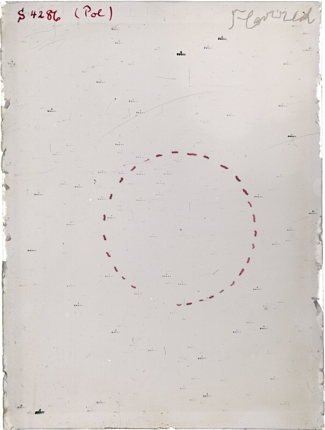 Scan ST04286
