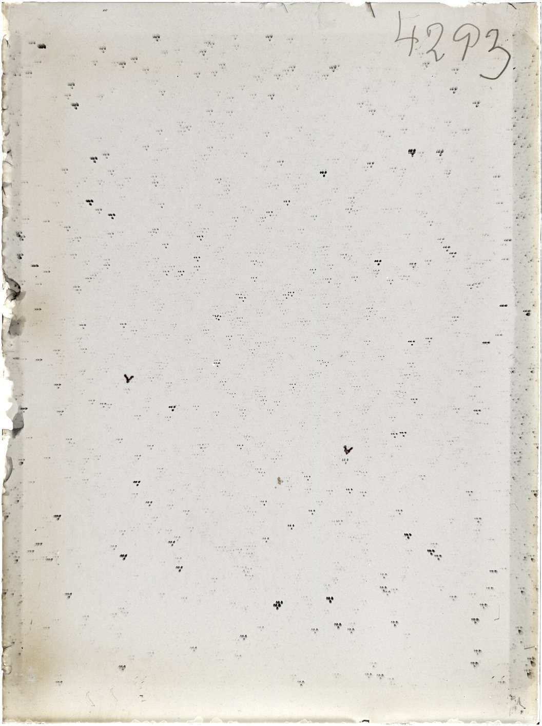 Scan ST04293