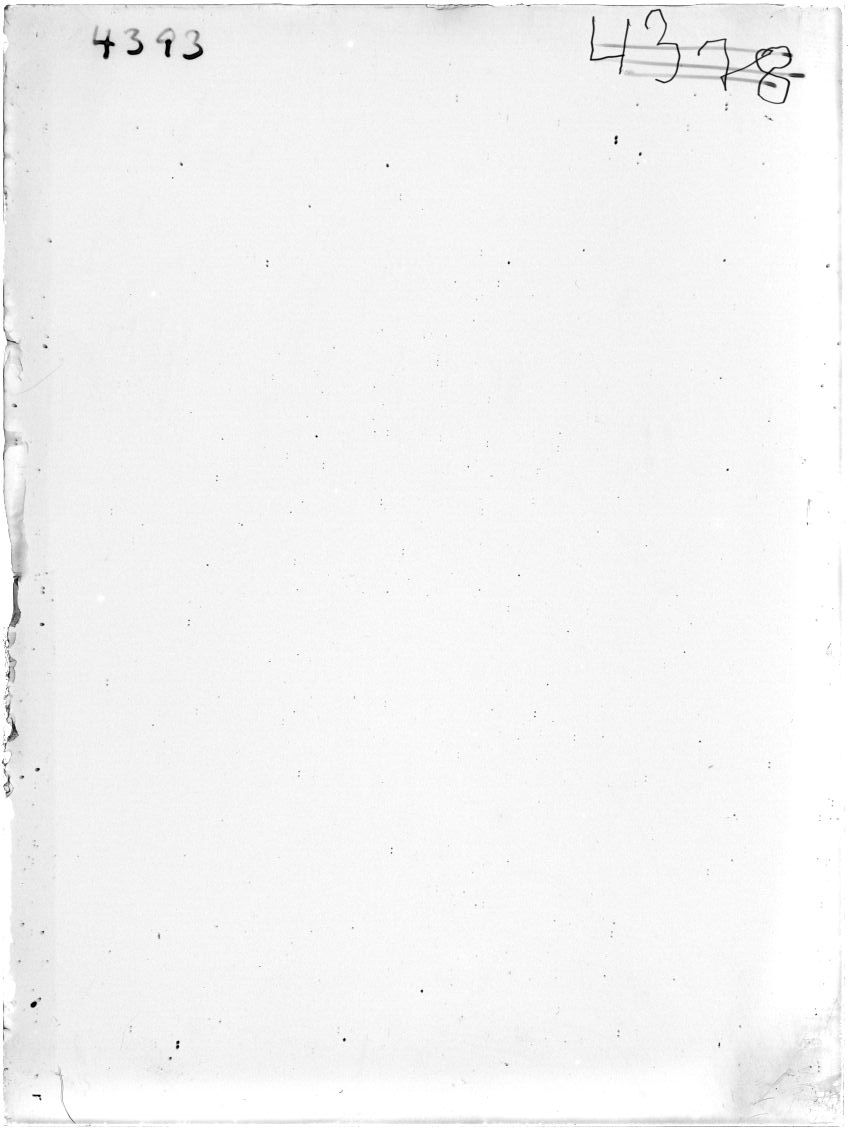 Scan ST04393