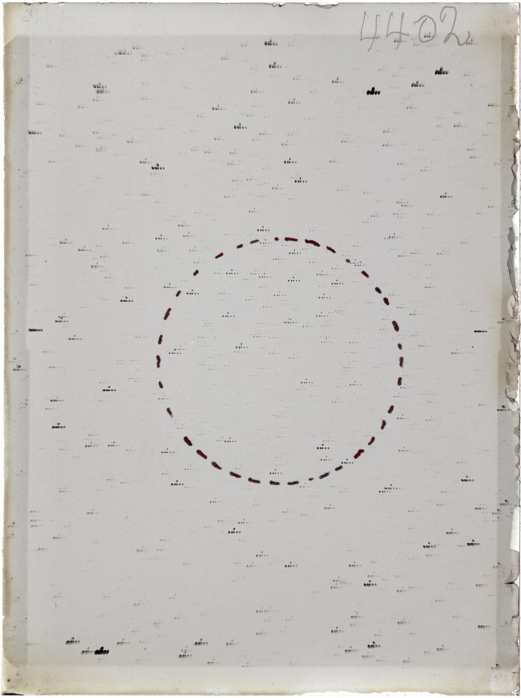Scan ST04402