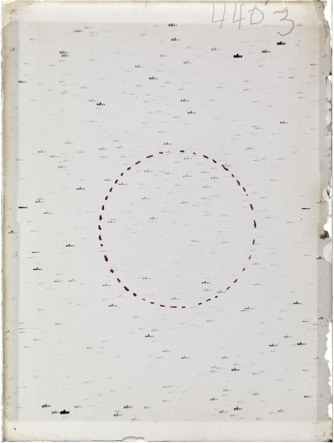 Scan ST04403
