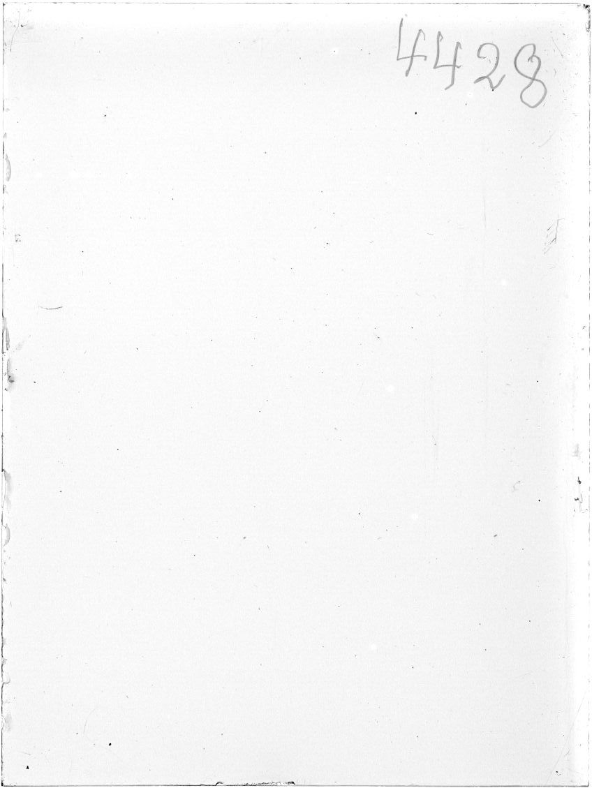 Scan ST04428