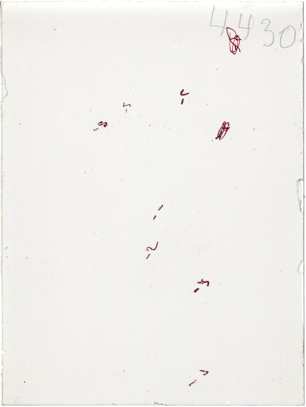 Scan ST04430