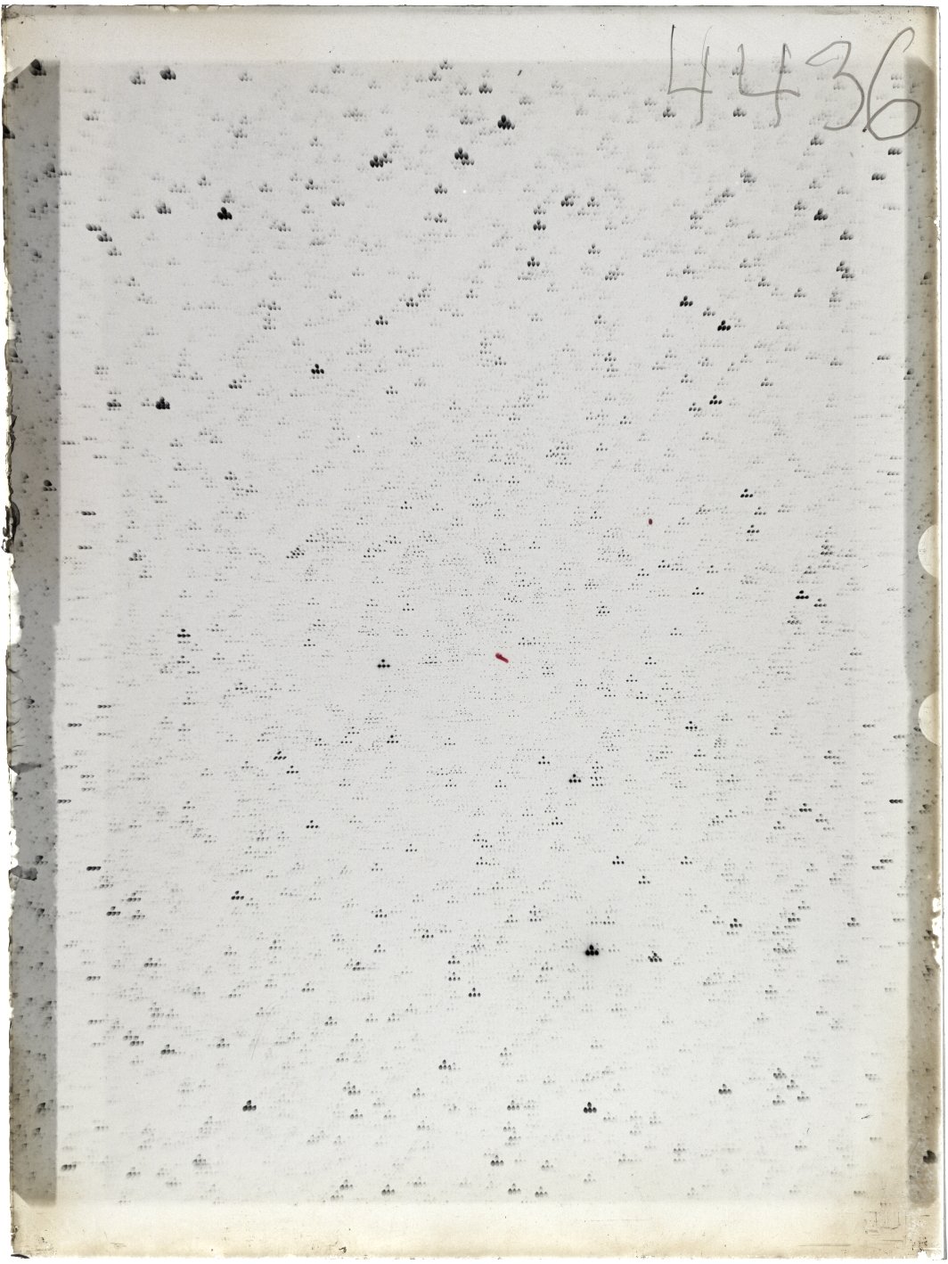 Scan ST04436