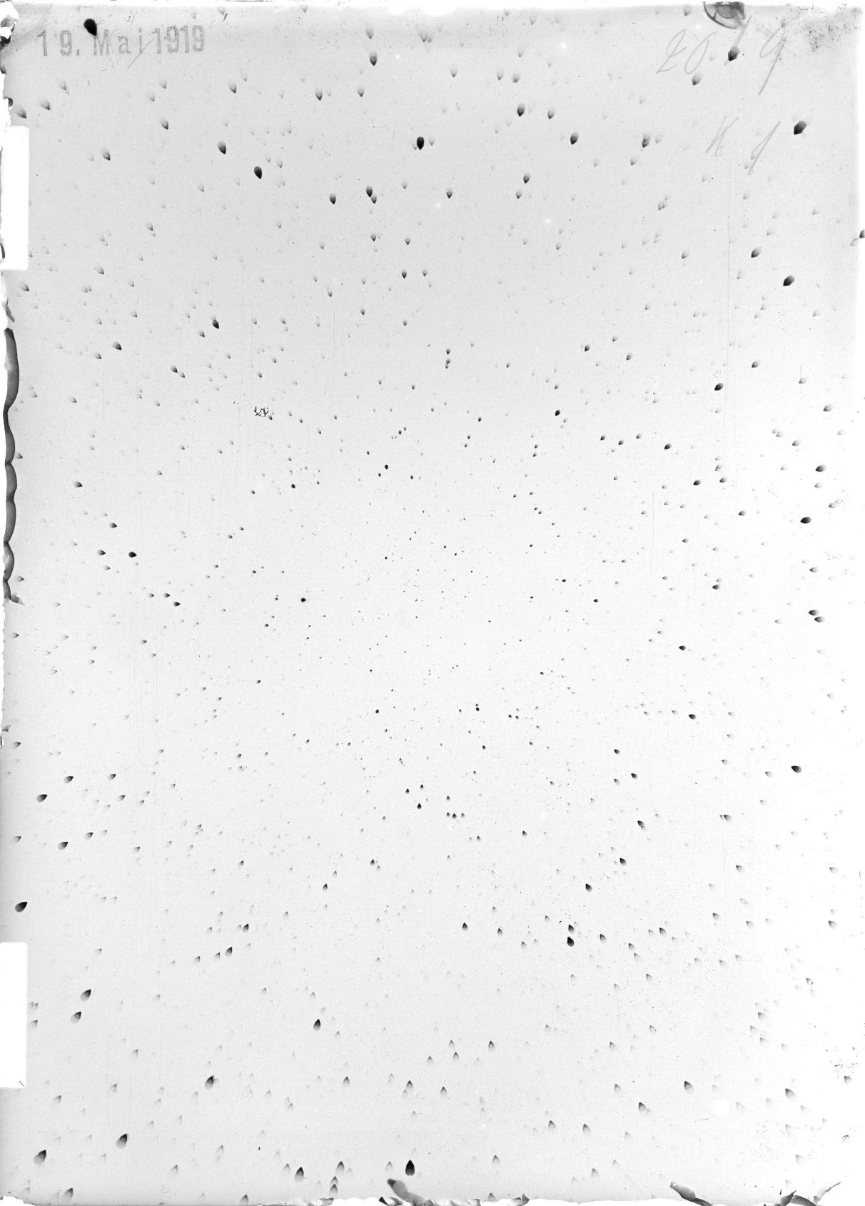 Scan ST02019