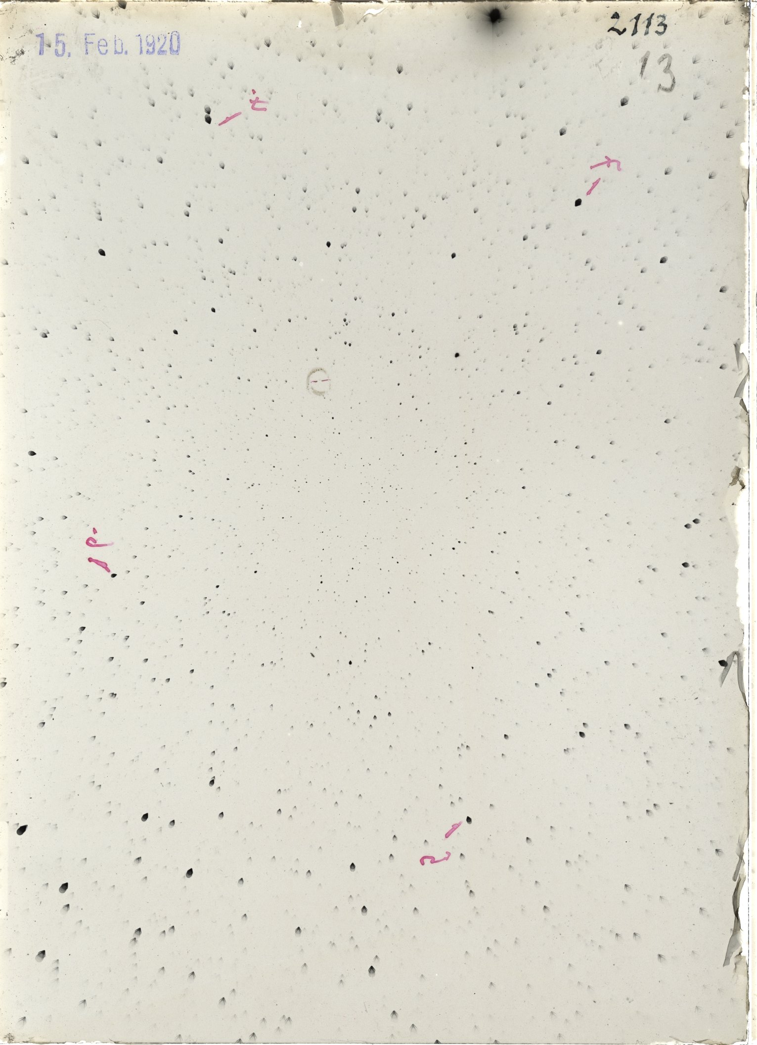 Scan ST02113