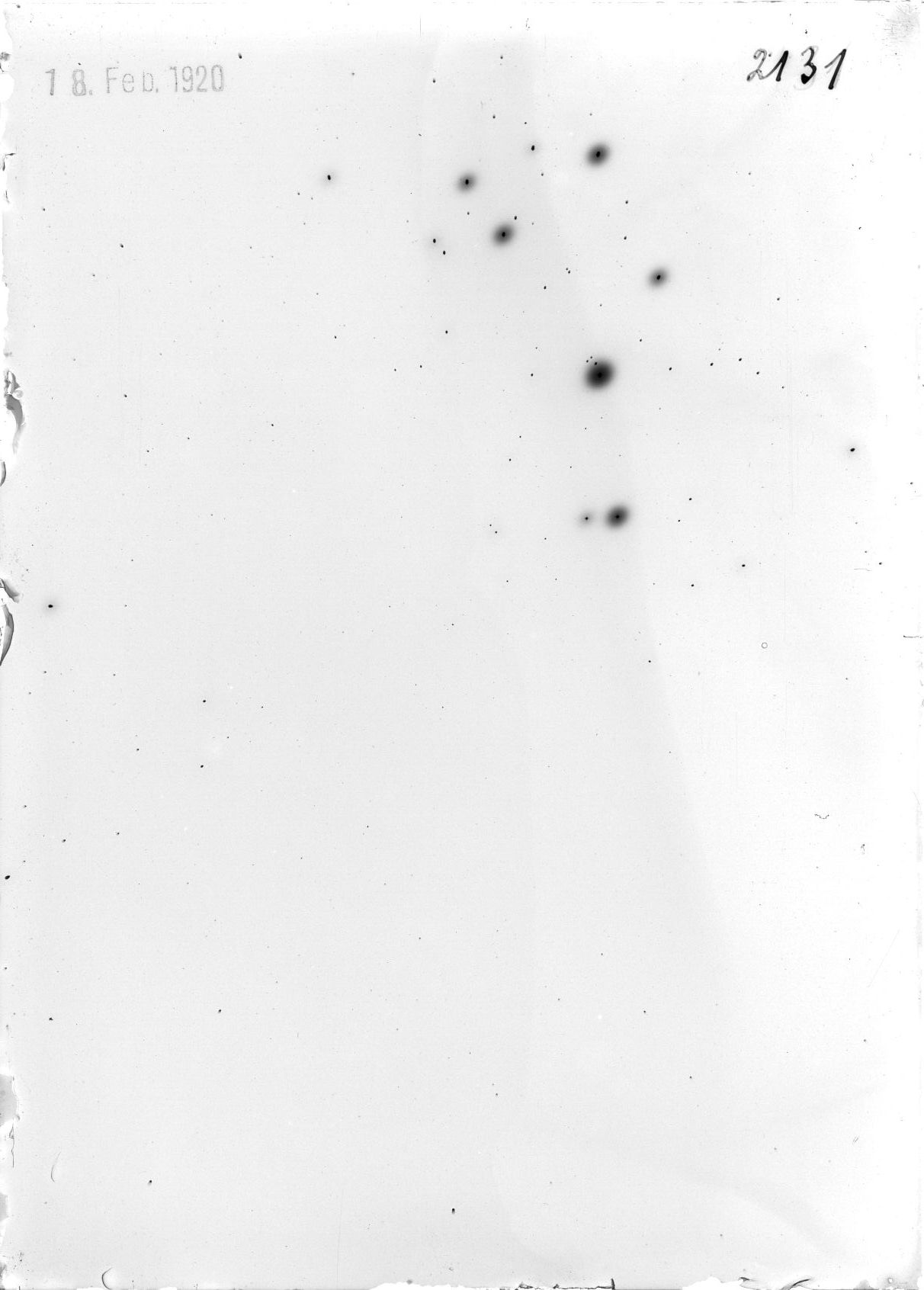 Scan ST02131