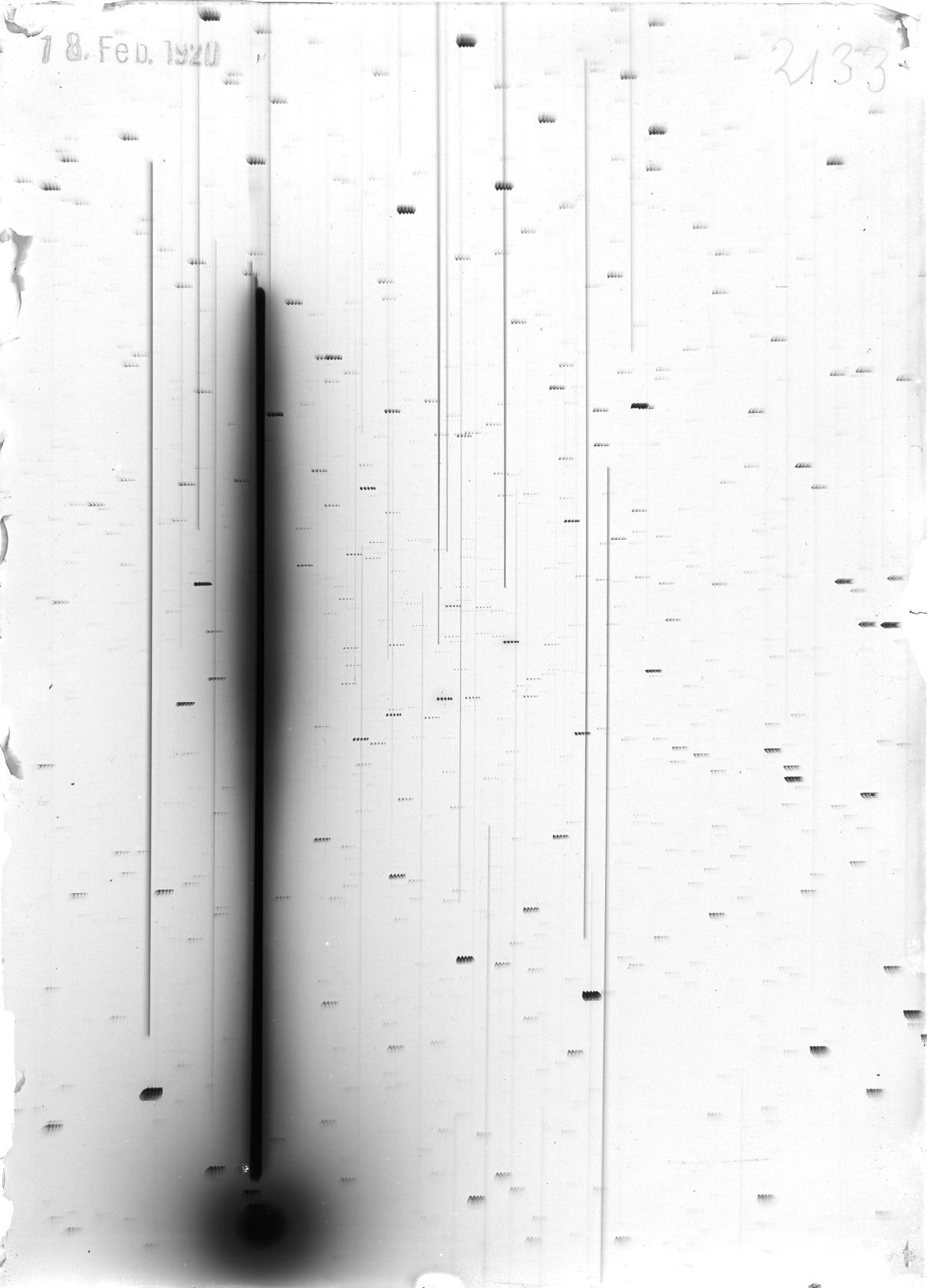 Scan ST02133