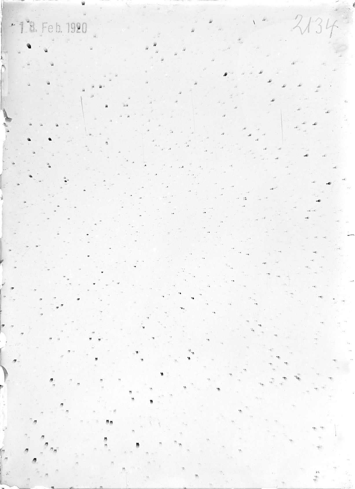 Scan ST02134