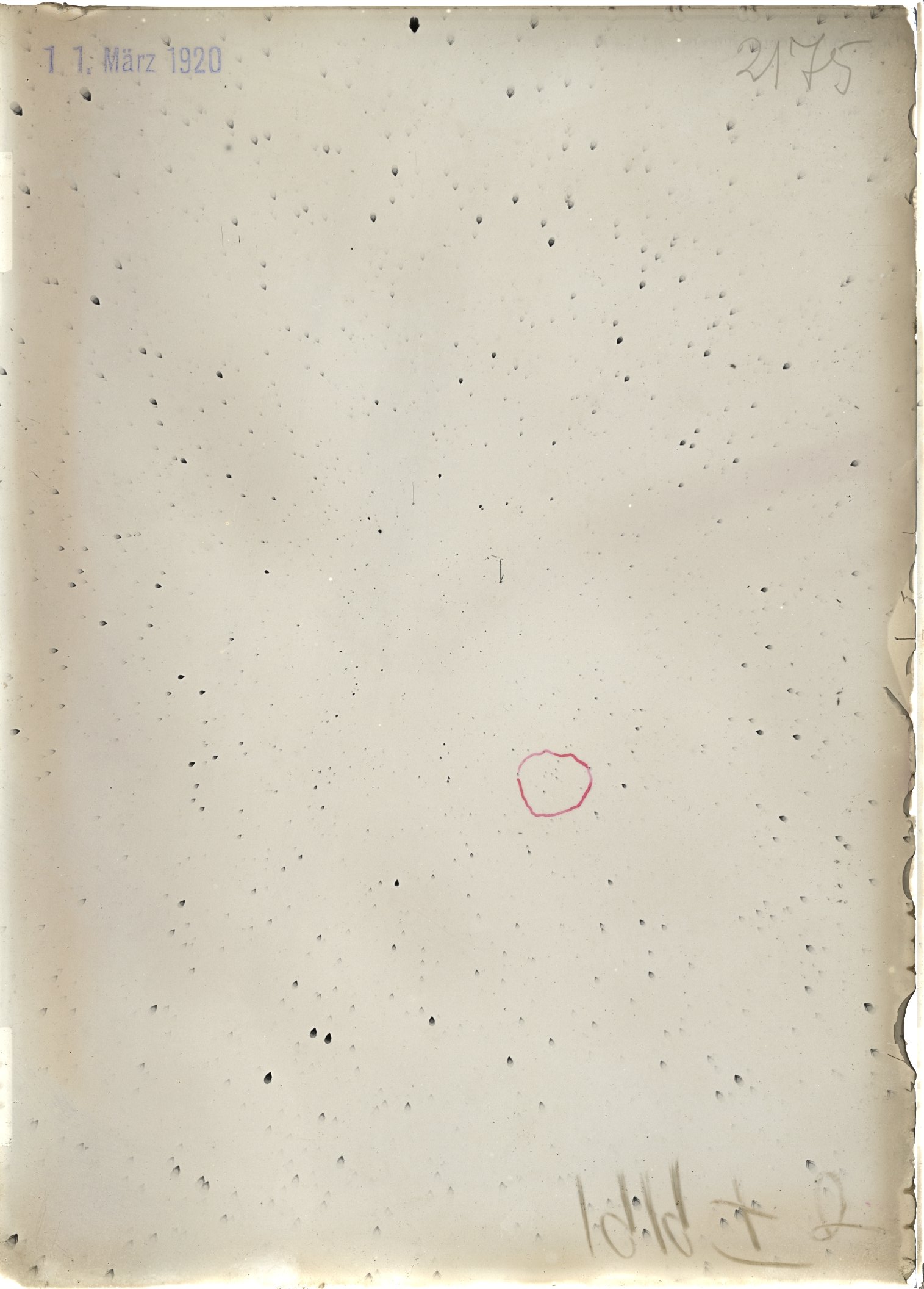 Scan ST02175