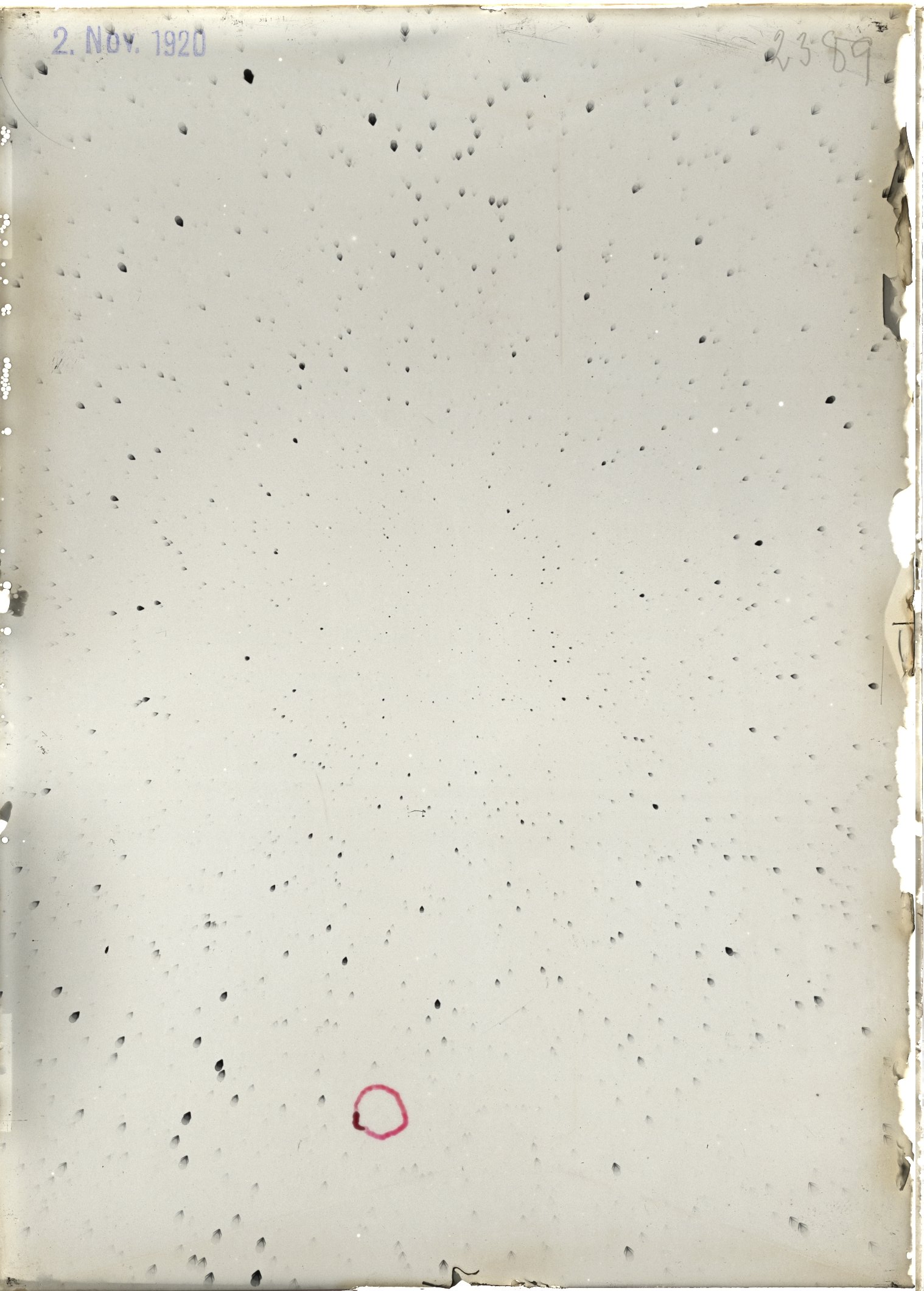 Scan ST02389