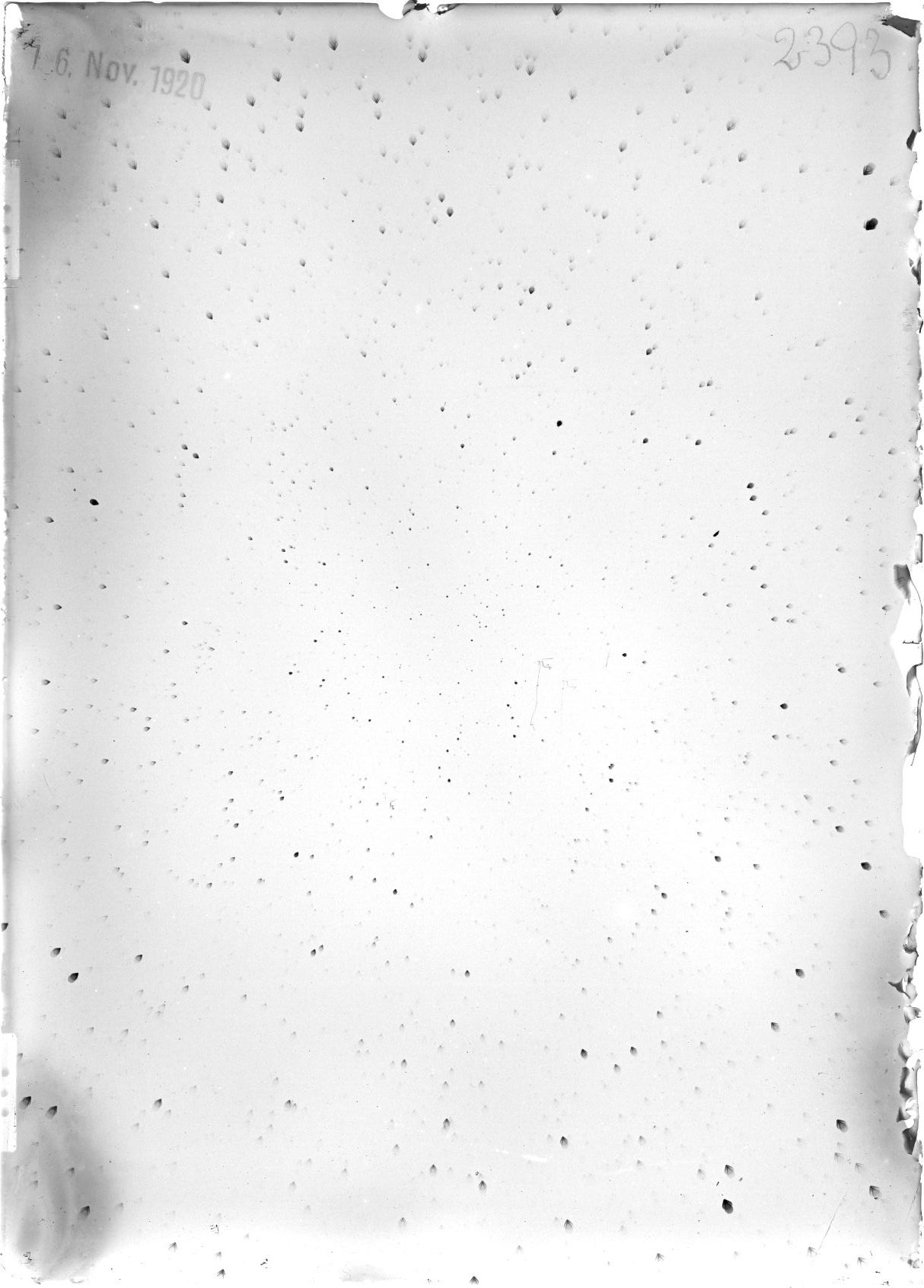 Scan ST02393