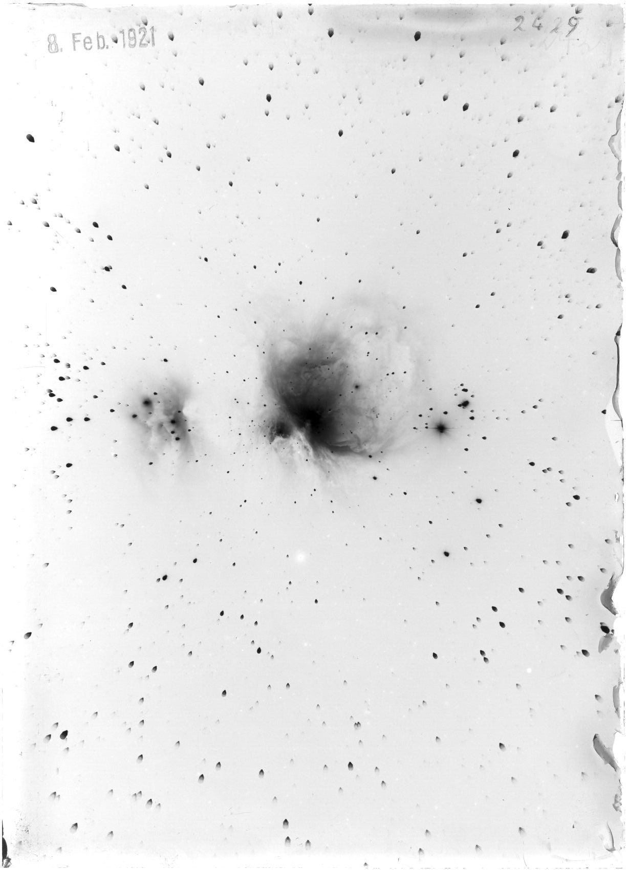 Scan ST02429
