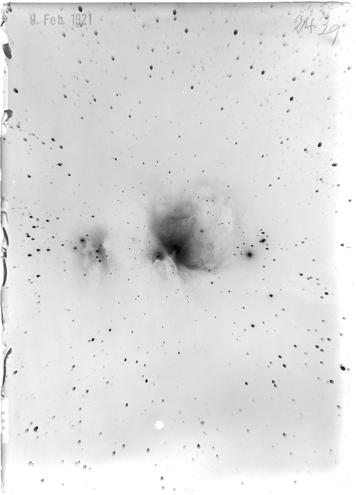 Scan ST02439