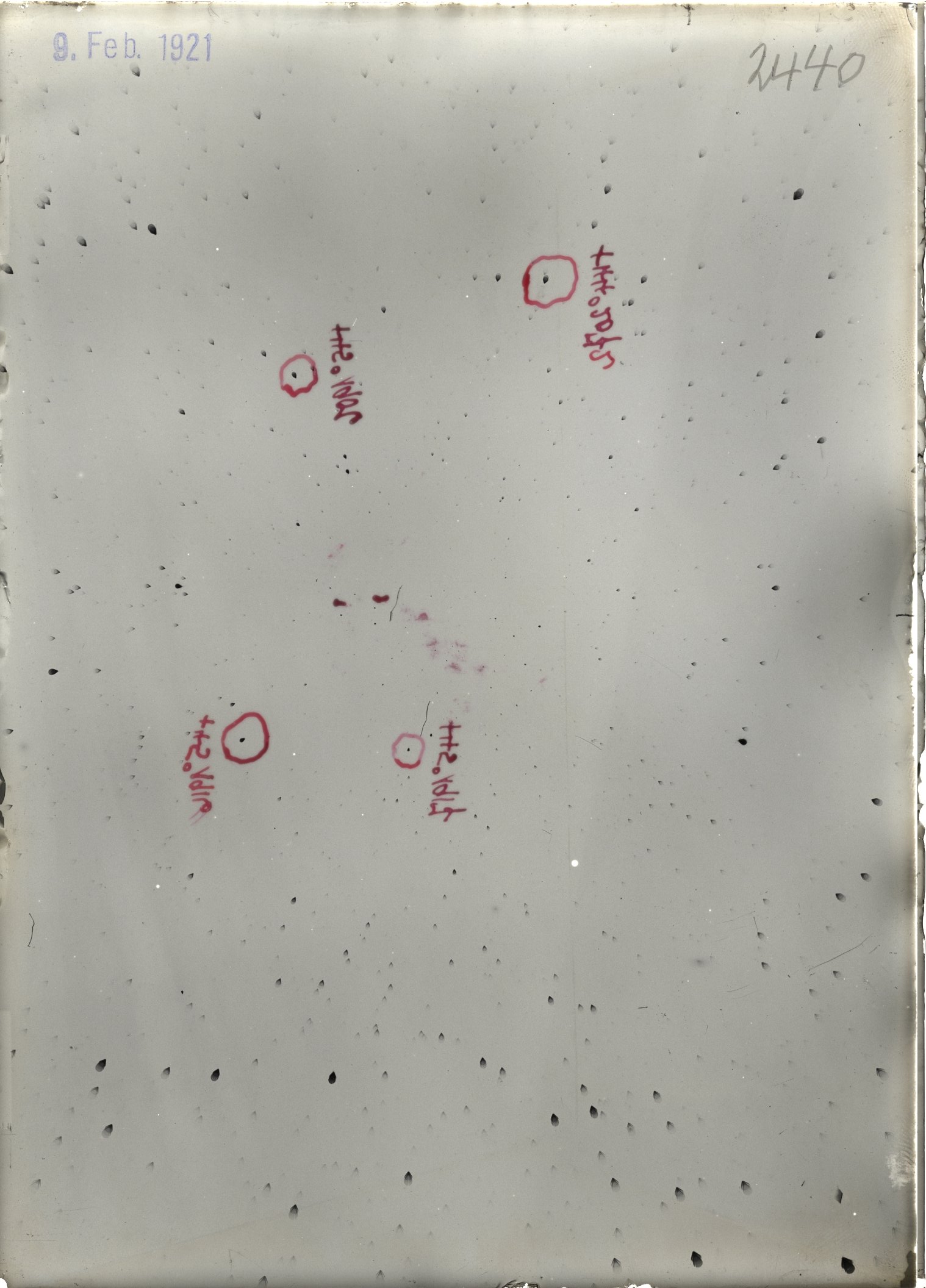 Scan ST02440