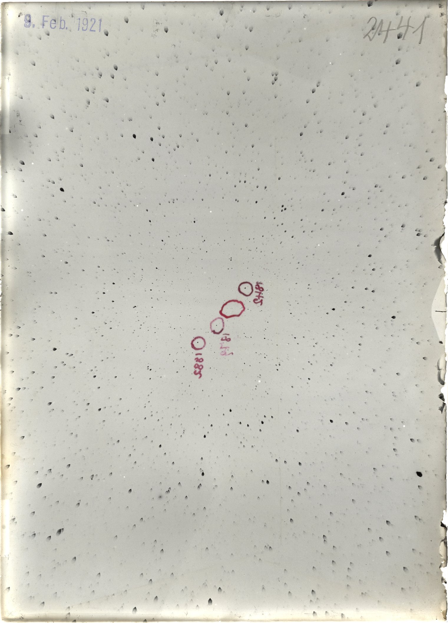 Scan ST02441