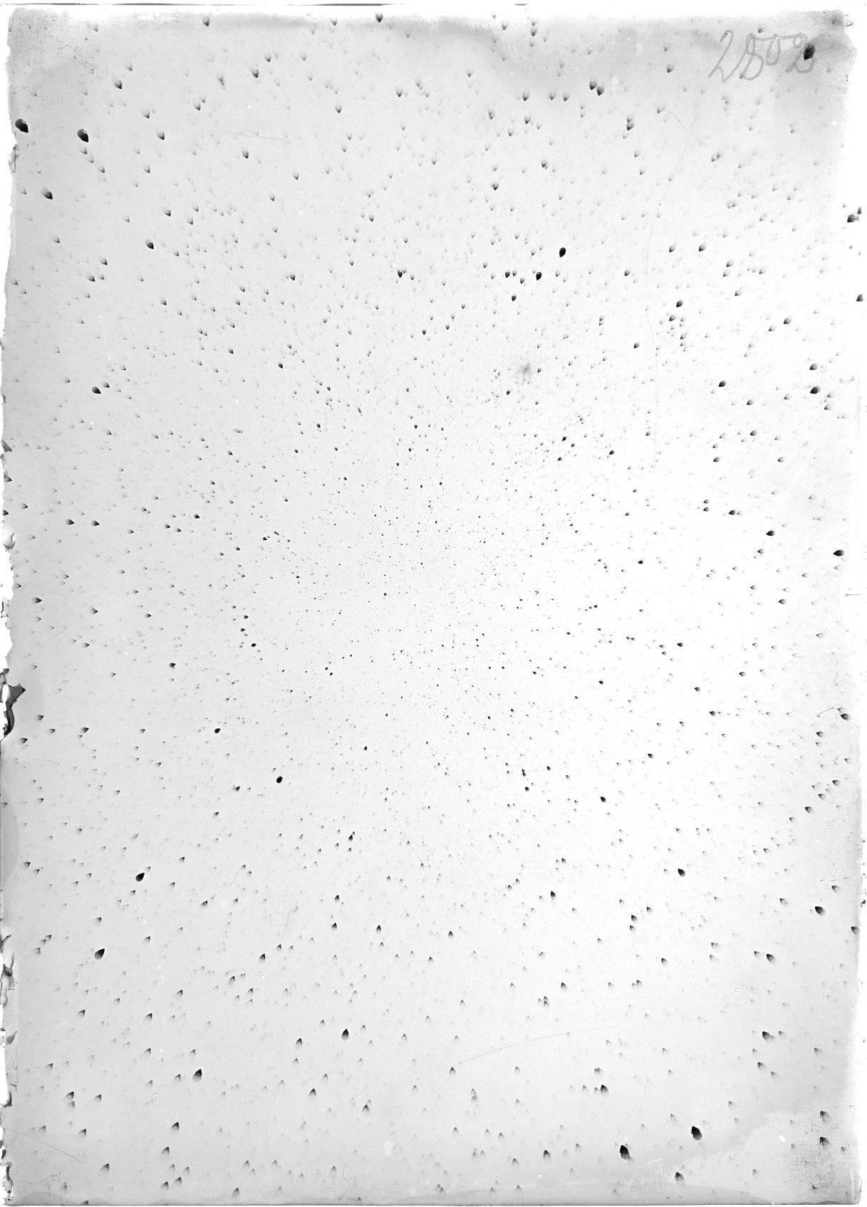 Scan ST02802