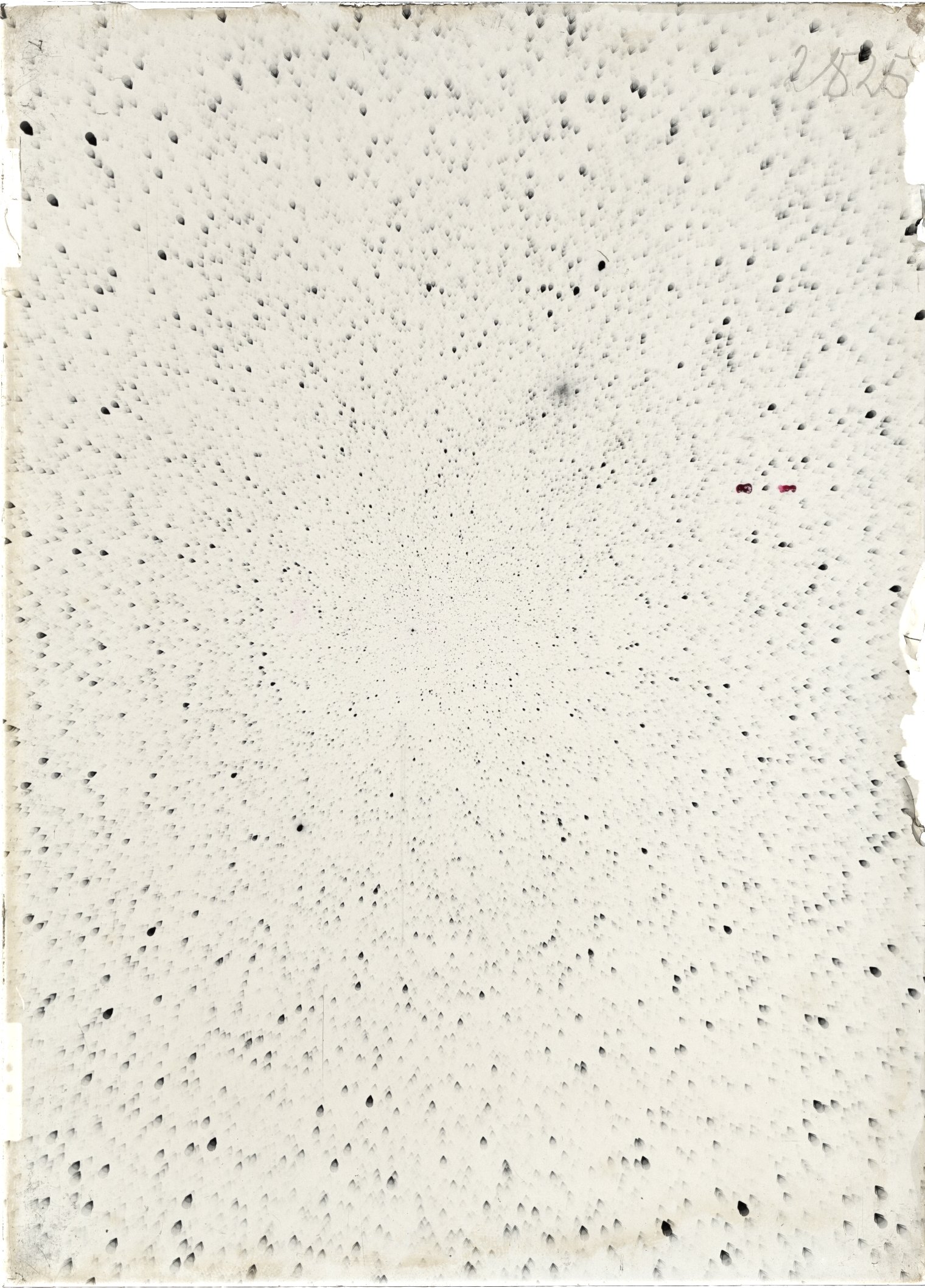 Scan ST02825