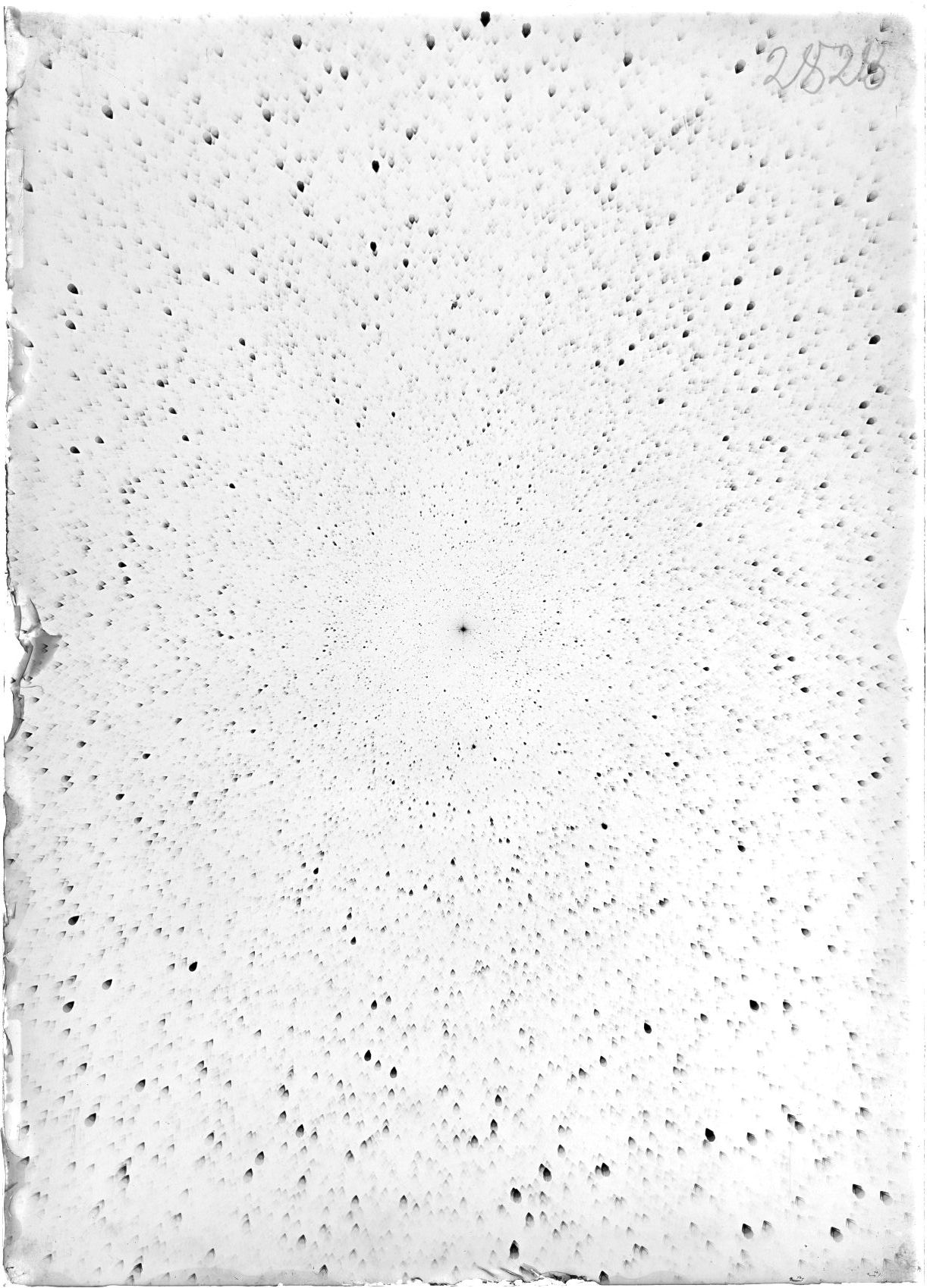 Scan ST02828