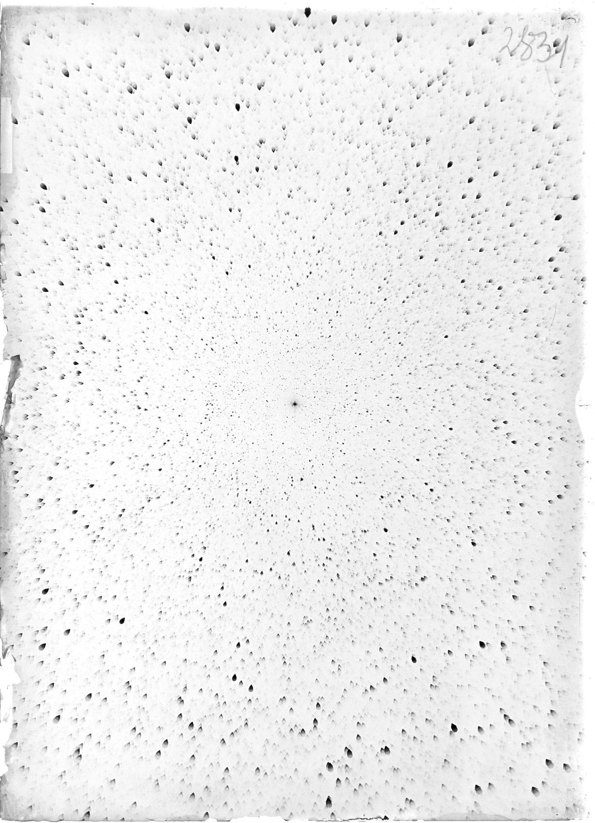 Scan ST02831