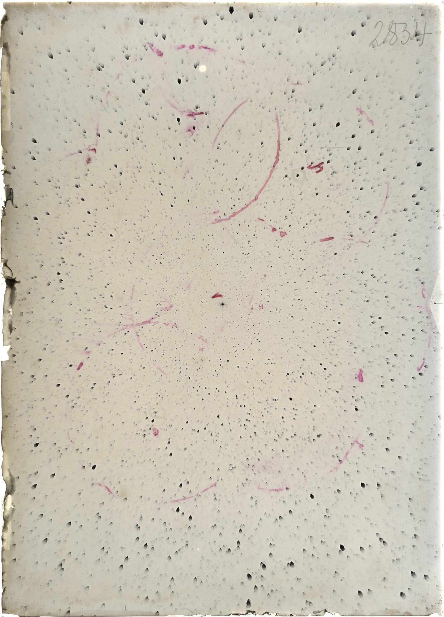 Scan ST02834