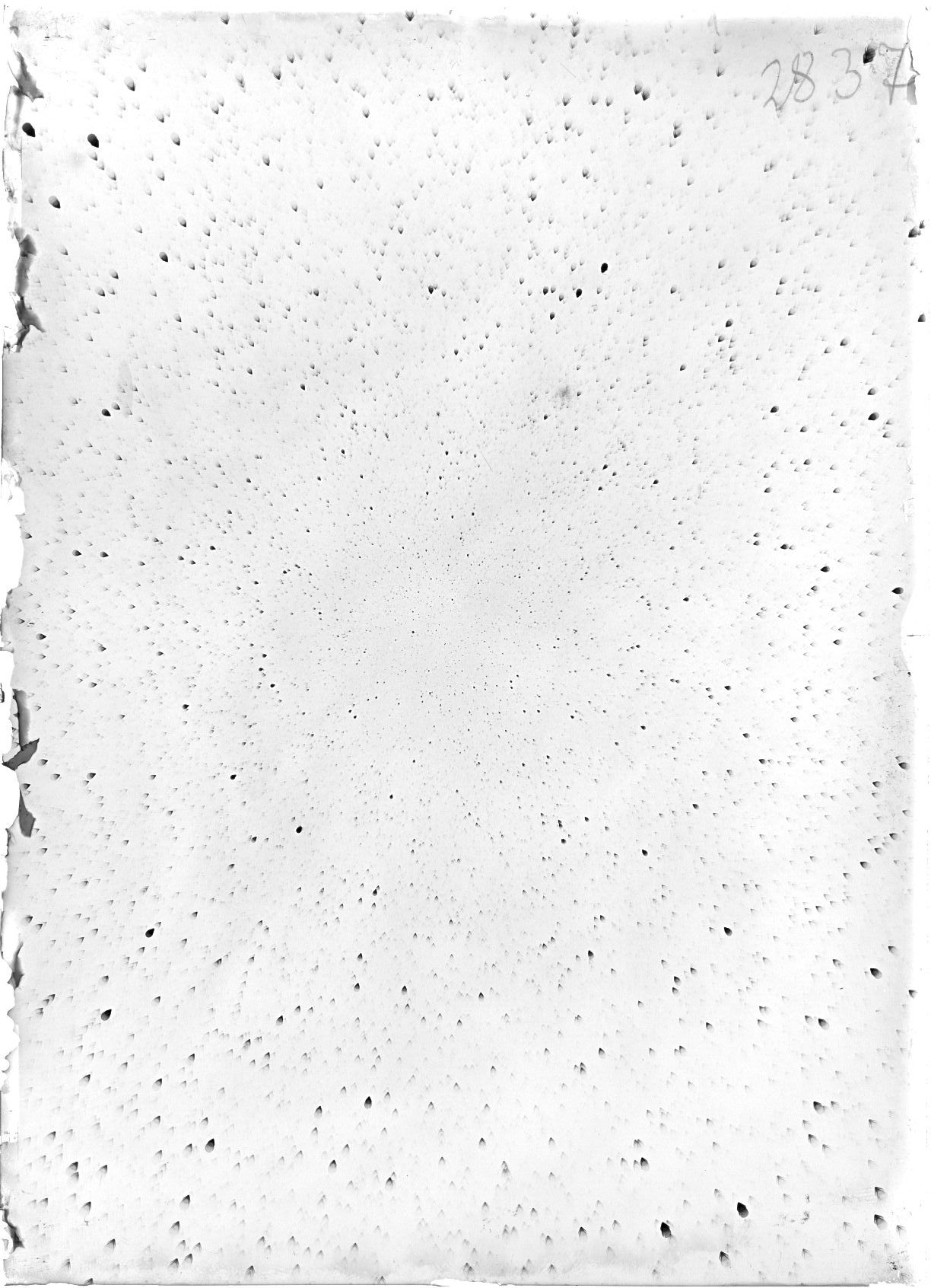 Scan ST02837