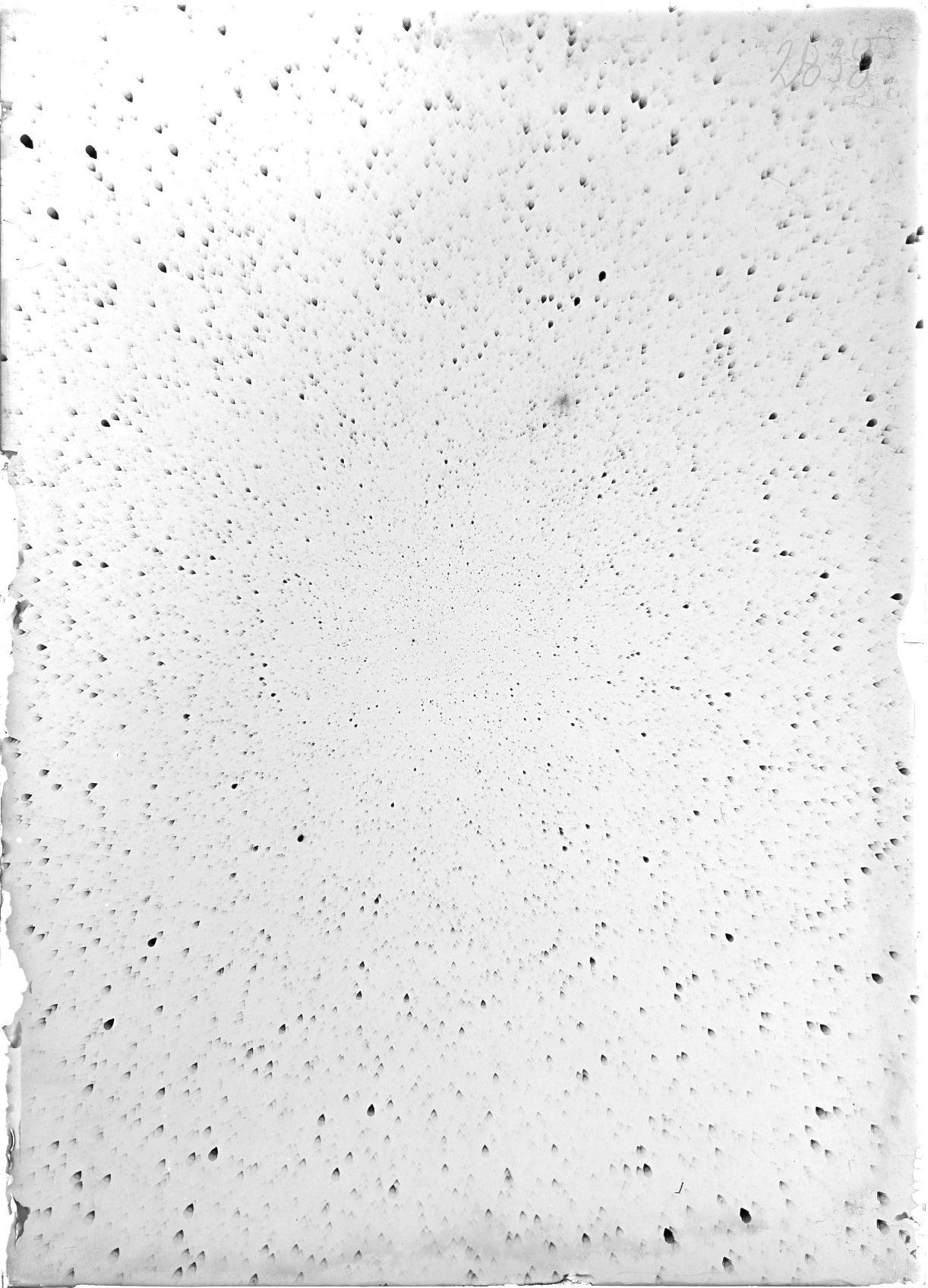 Scan ST02838