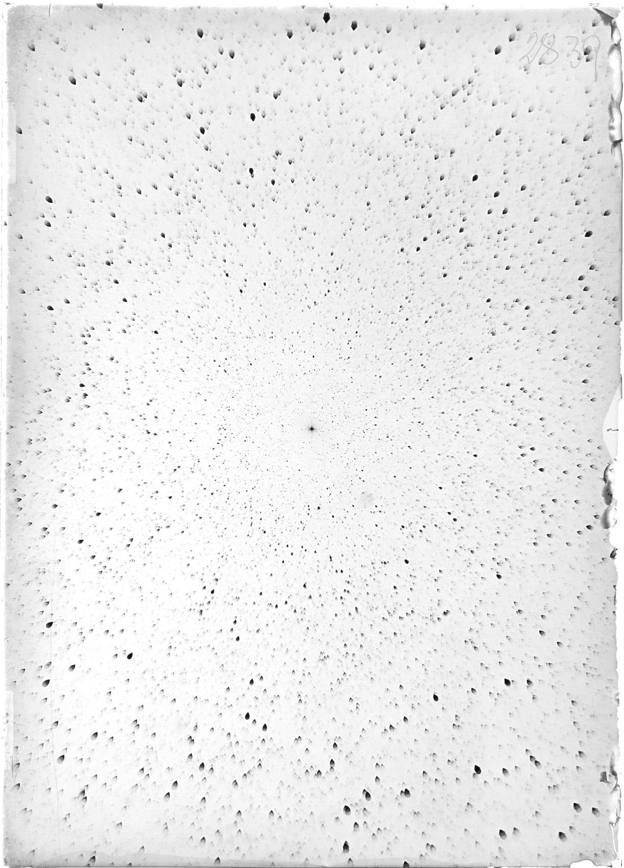 Scan ST02839