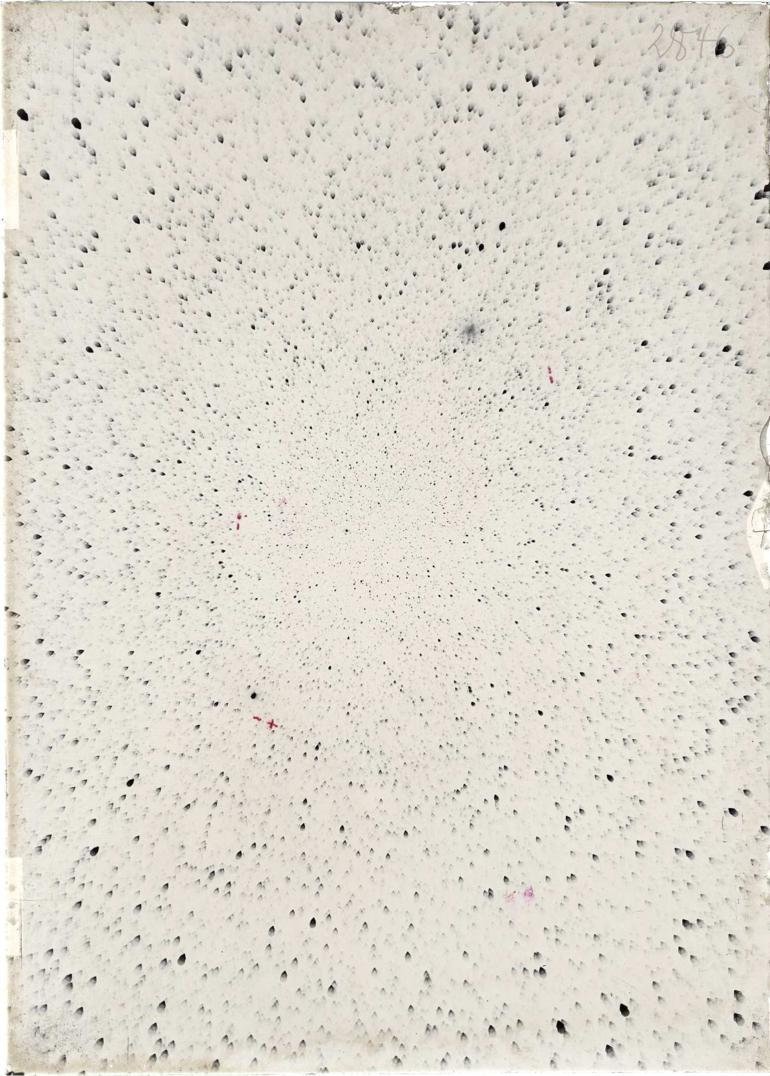 Scan ST02846