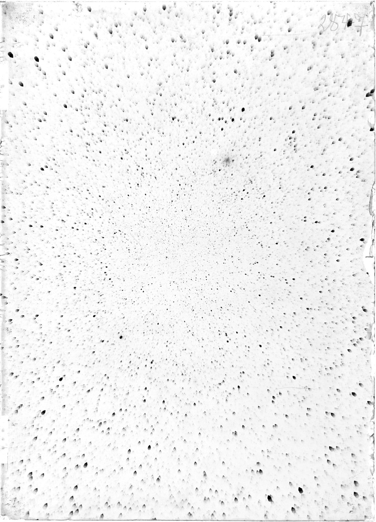 Scan ST02847