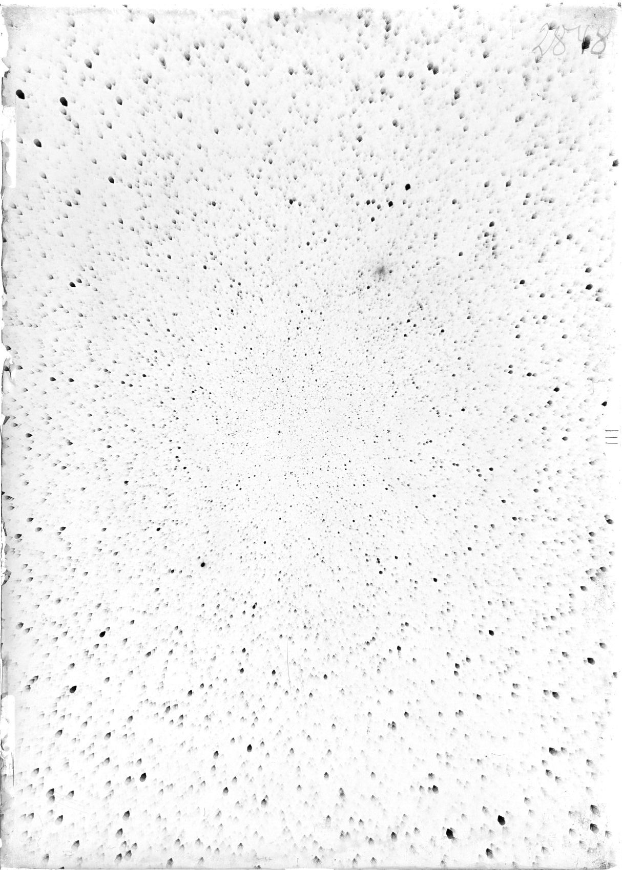 Scan ST02848
