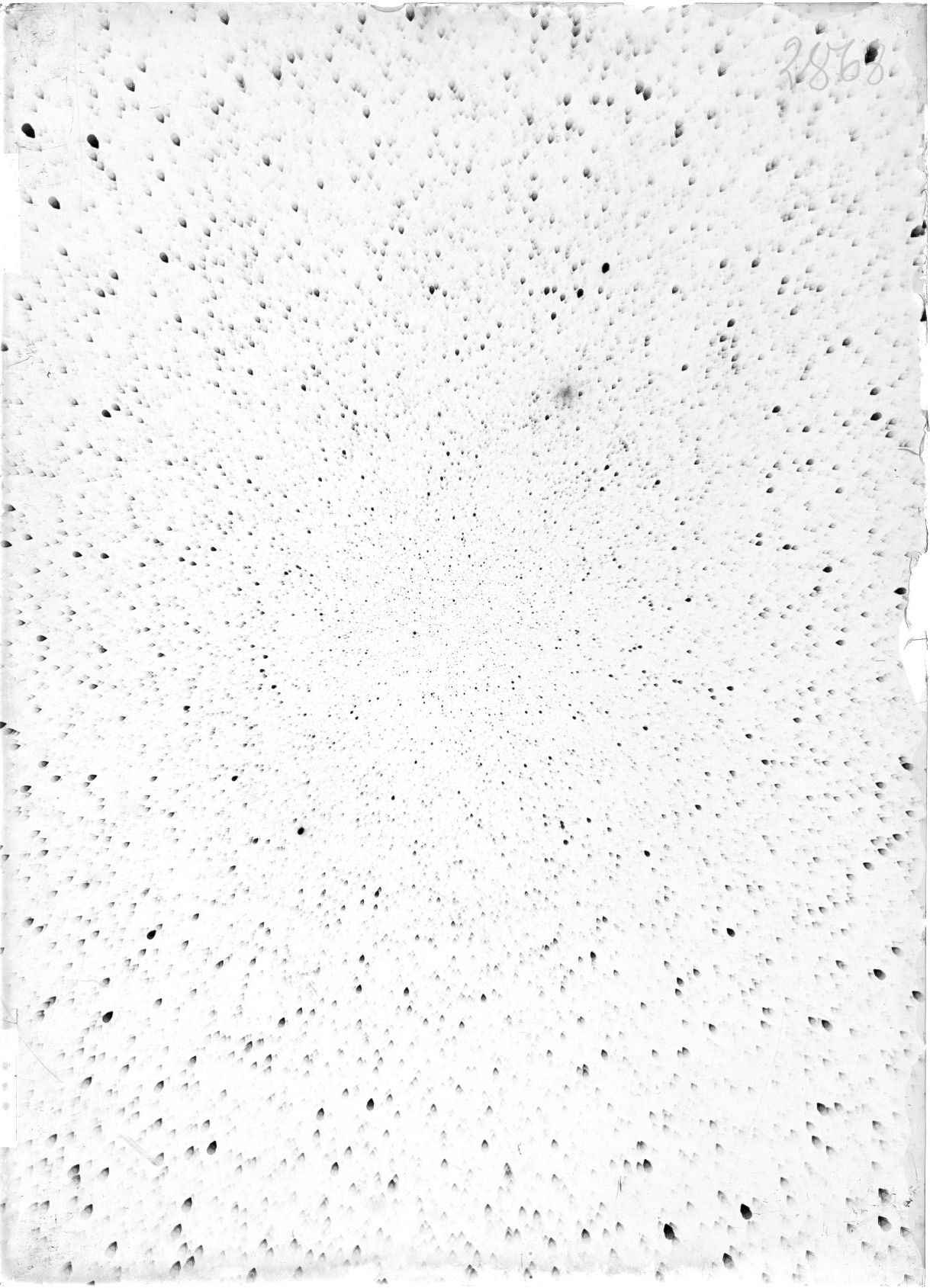 Scan ST02868