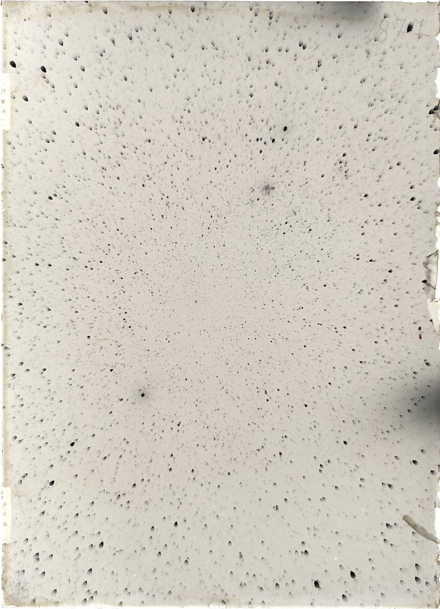 Scan ST02877