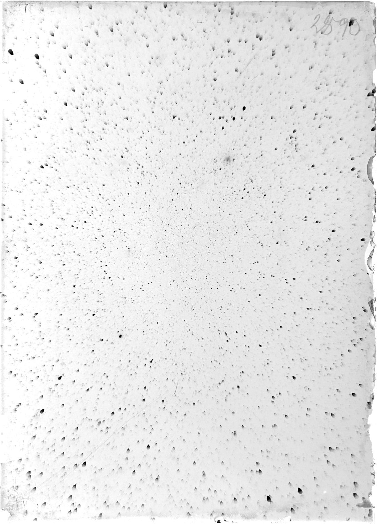 Scan ST02890