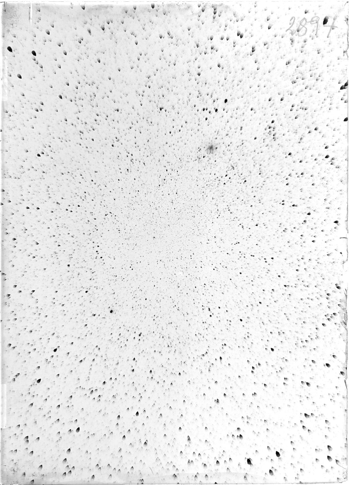 Scan ST02894