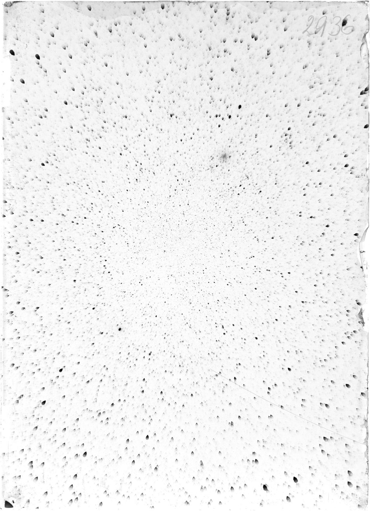 Scan ST02936
