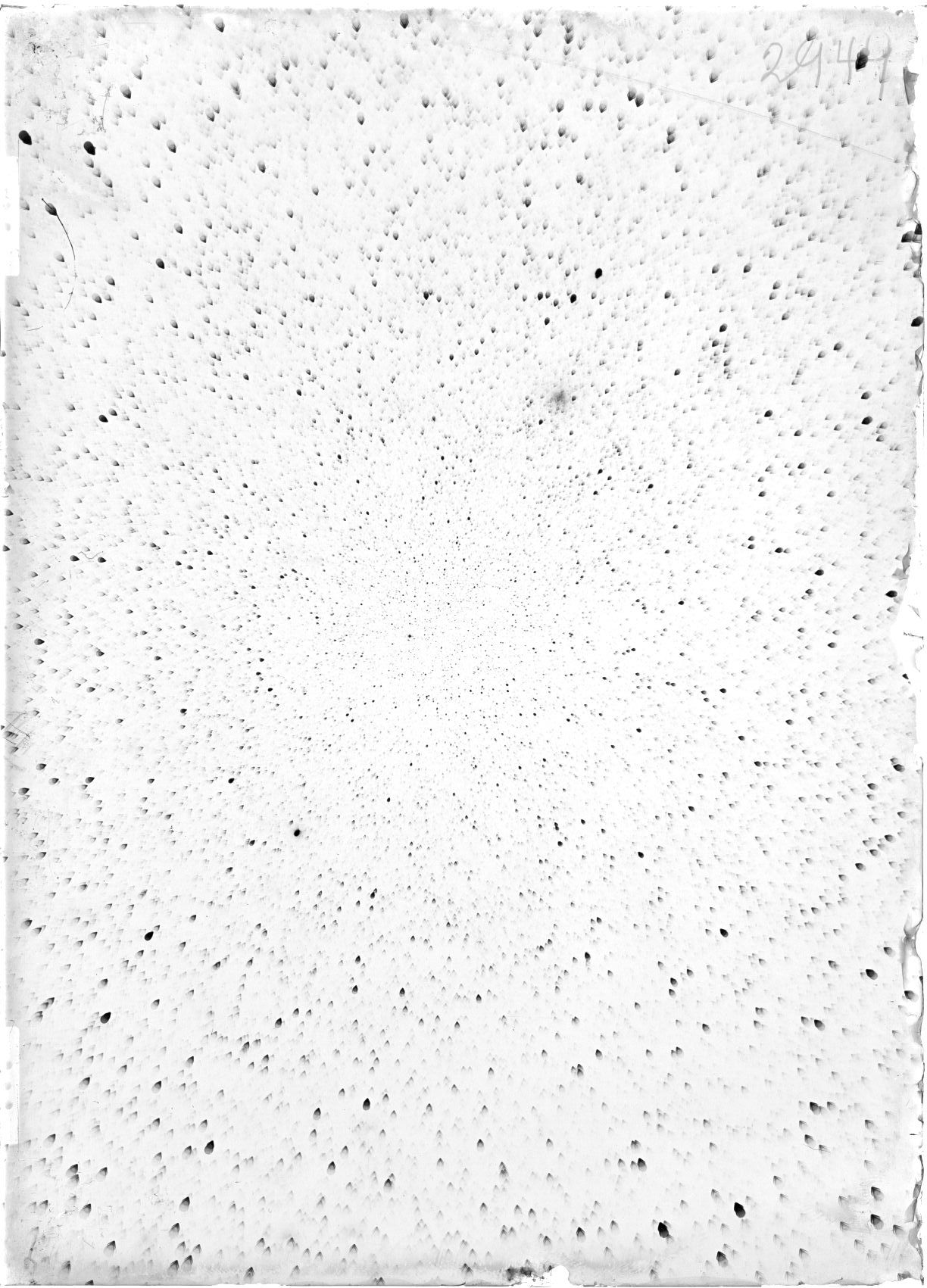 Scan ST02949